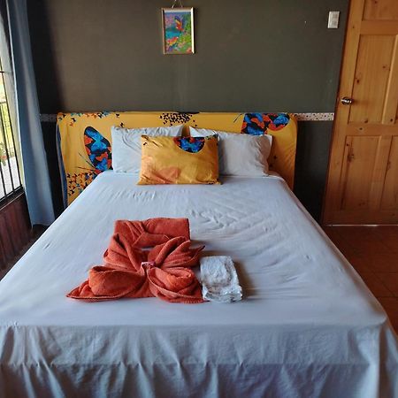 Sura House Corcovado Surinico Room With Ac Puerto Jiménez Kültér fotó